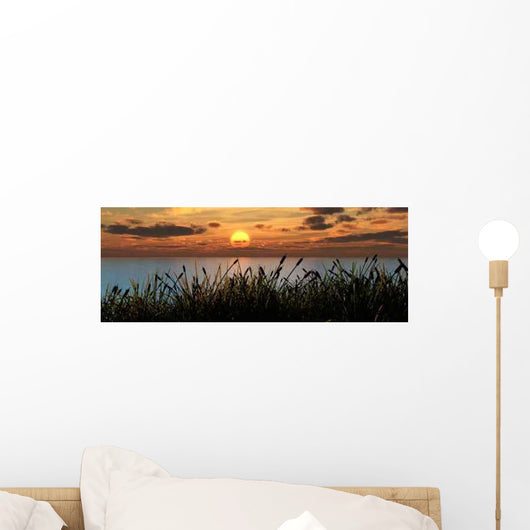 Reeds Sunset Wall Decal
