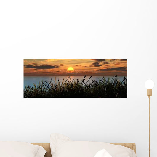 Reeds Sunset Wall Decal
