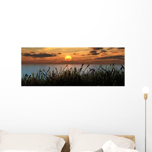 Reeds Sunset Wall Decal