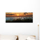Reeds Sunset Wall Decal