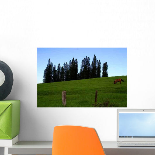 Rural Landscape with Horse Wall Decal