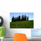 Rural Landscape with Horse Wall Decal