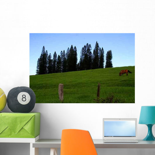 Rural Landscape with Horse Wall Decal
