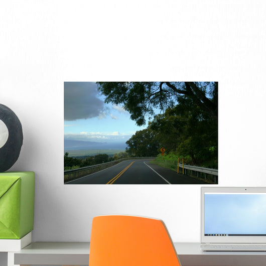 Highway Wall Mural