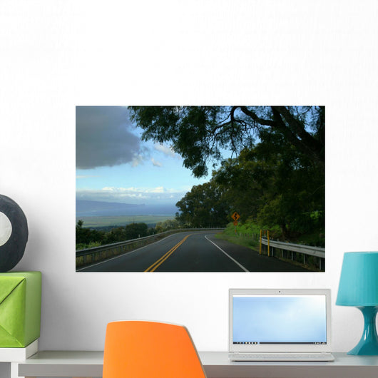 Highway Wall Mural