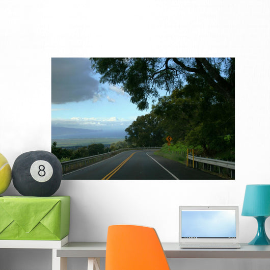 Highway Wall Mural
