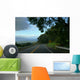 Highway Wall Mural