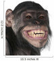 Close-up of Mixed-Breed monkey between Chimpanzee and Bonobo Wall Mural
