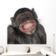 Close-Up of Mixed-Breed Monkey Wall Decal