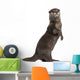 Oriental Small-clawed Otter Amblonyx