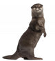 Oriental Small-clawed Otter Amblonyx