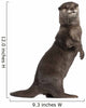 Oriental Small-clawed Otter Amblonyx
