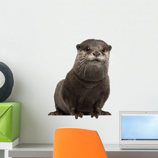 Oriental otter Wall Decal