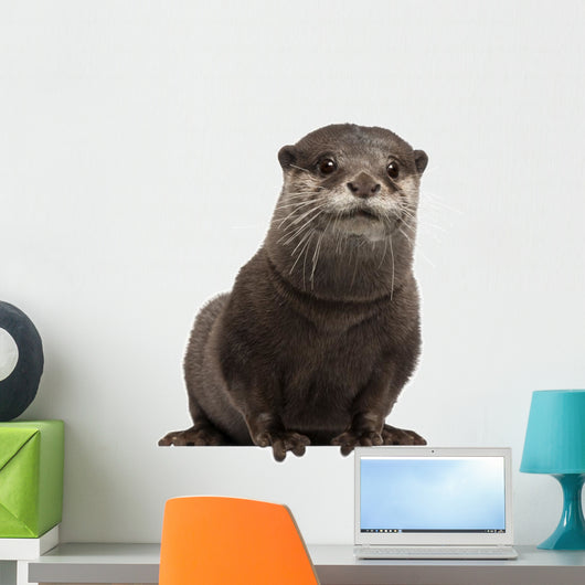 Oriental otter Wall Decal