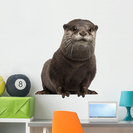 Oriental otter Wall Decal