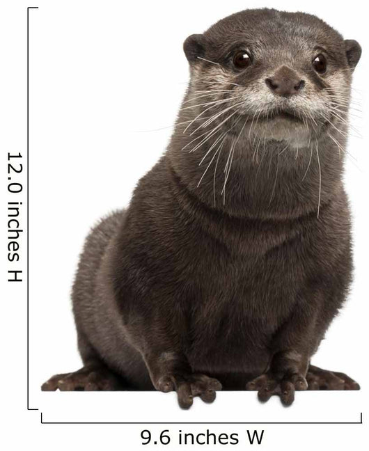 Oriental otter Wall Decal