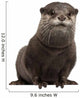 Oriental otter Wall Decal