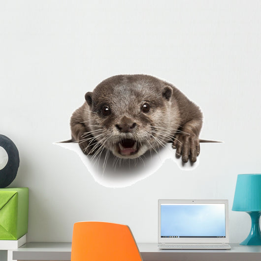 Oriental small-clawed otter, Amblonyx Cinereus, 5 years old Wall Decal