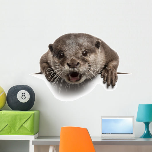 Oriental small-clawed otter, Amblonyx Cinereus, 5 years old Wall Decal