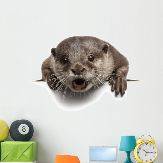 Oriental small-clawed otter, Amblonyx Cinereus, 5 years old Wall Decal