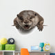 Oriental small-clawed otter, Amblonyx Cinereus, 5 years old Wall Decal