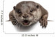 Oriental small-clawed otter, Amblonyx Cinereus, 5 years old Wall Decal