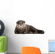 Resting Oriental Otter Wall Decal