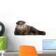 Resting Oriental Otter Wall Decal