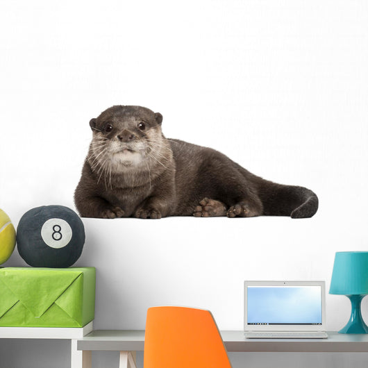 Resting Oriental Otter Wall Decal