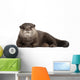 Resting Oriental Otter Wall Decal