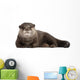 Resting Oriental Otter Wall Decal