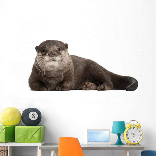 Resting Oriental Otter Wall Decal