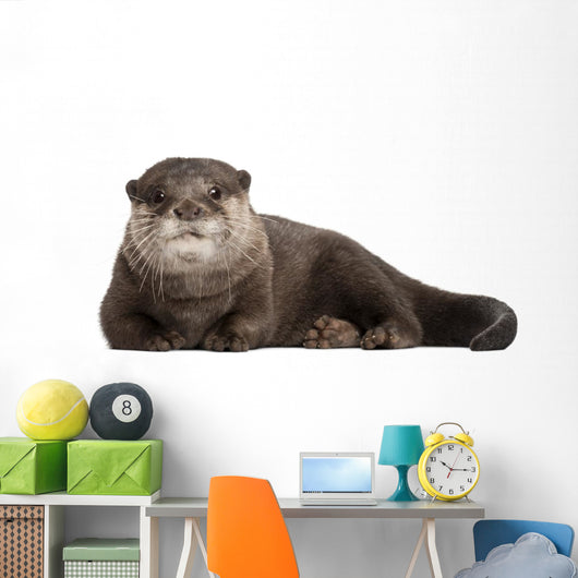 Resting Oriental Otter Wall Decal