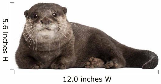Resting Oriental Otter Wall Decal
