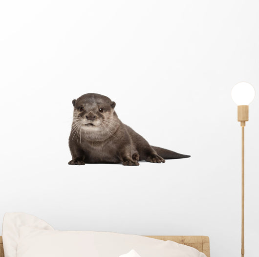 Oriental small-clawed otter Wall Decal