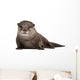 Oriental small-clawed otter Wall Decal