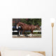 Piebald Horse Galloping