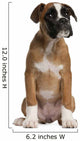 Boxer Puppy Wall Decal
