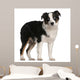 Australian Shepherd Puppy 5 Months Old Standing Wall Decal