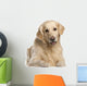 Golden Retriever 7 Years Wall Decal