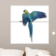 Blue and Yellow Macaw