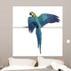 Blue and Yellow Macaw