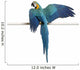 Blue and Yellow Macaw