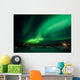 Aurora Borealis Northern Lights