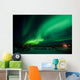 Aurora Borealis Northern Lights
