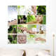 collage Wall Mural