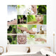 collage Wall Mural