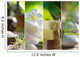 Spa Mix Wall Mural