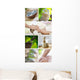 spa list Wall Mural