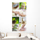 spa list Wall Mural